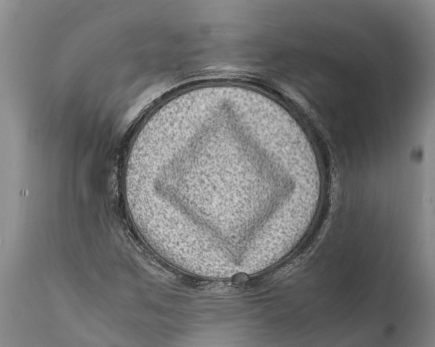 X0000111921259200908171316