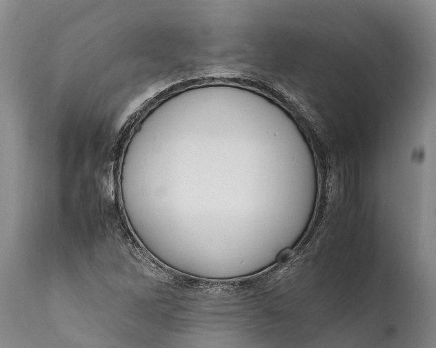 X0000111921262200908171316