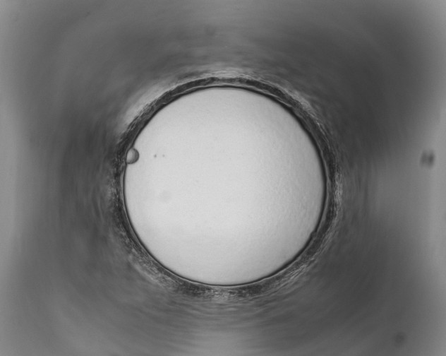 X0000111921263200908171316