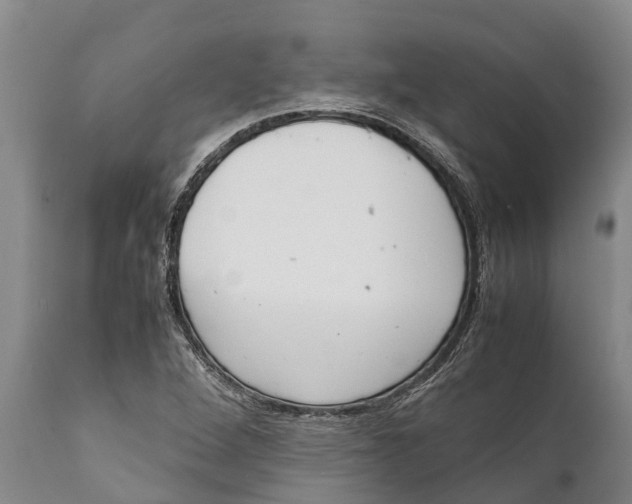 X0000111921264200908171316