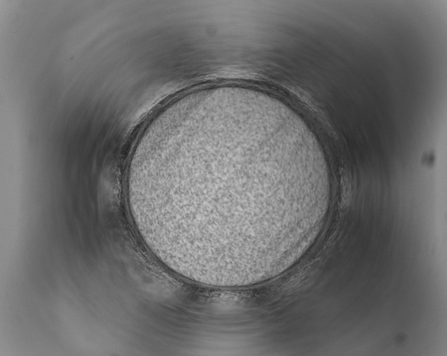 X0000111921266200908171316