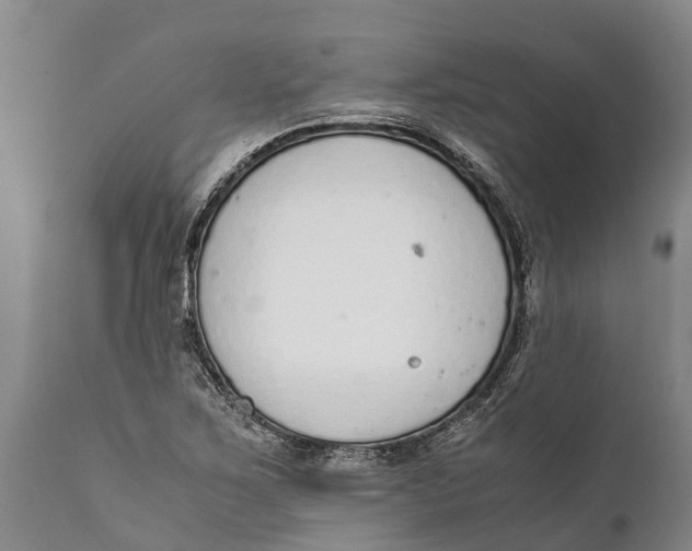 X0000111921267200908171316