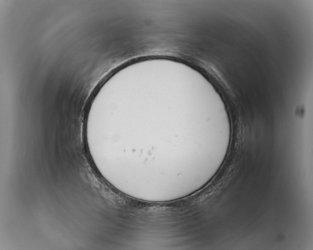 X0000111921268200908171316