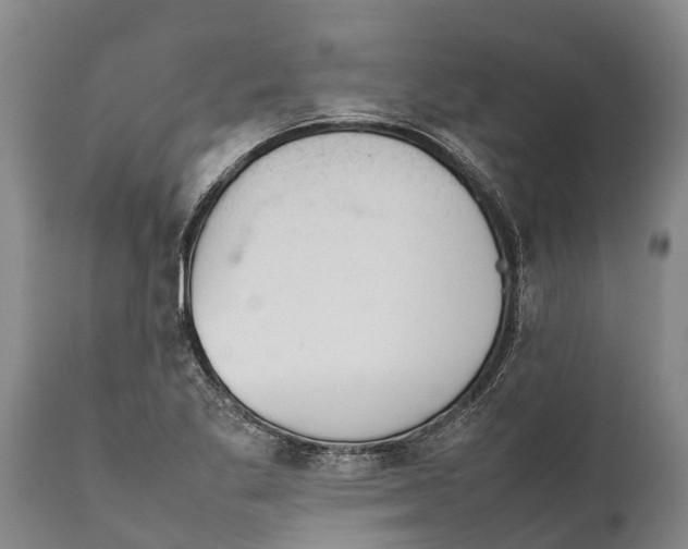 X0000111921269200908171316