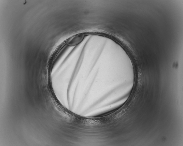 X0000111921270200908171316