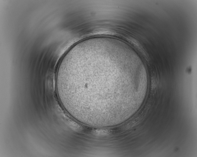 X0000111921274200908171316