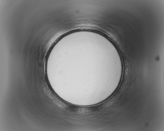 X0000111921275200908171316