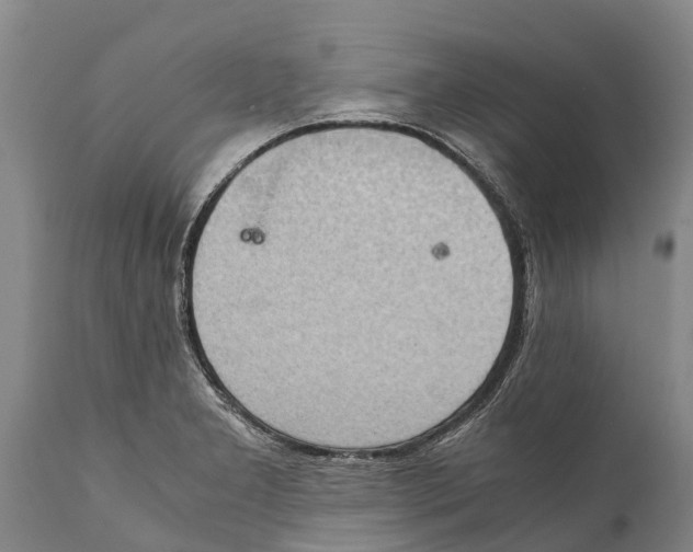 X0000111921277200908171316