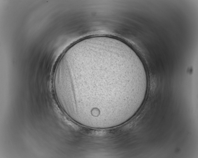 X0000111921278200908171316