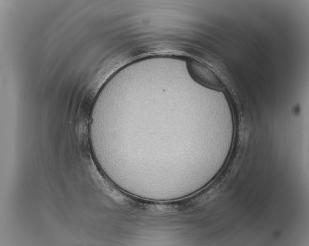 X0000111921281200908171316