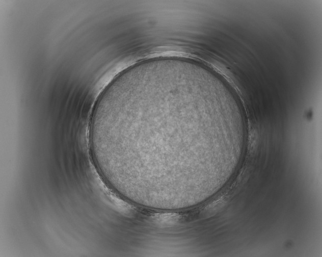 X0000111921282200908171316