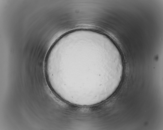 X0000111921283200908171316