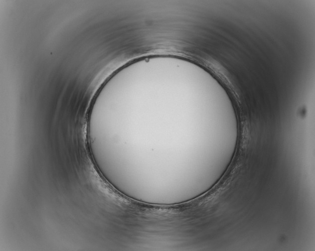 X0000111921284200908171316