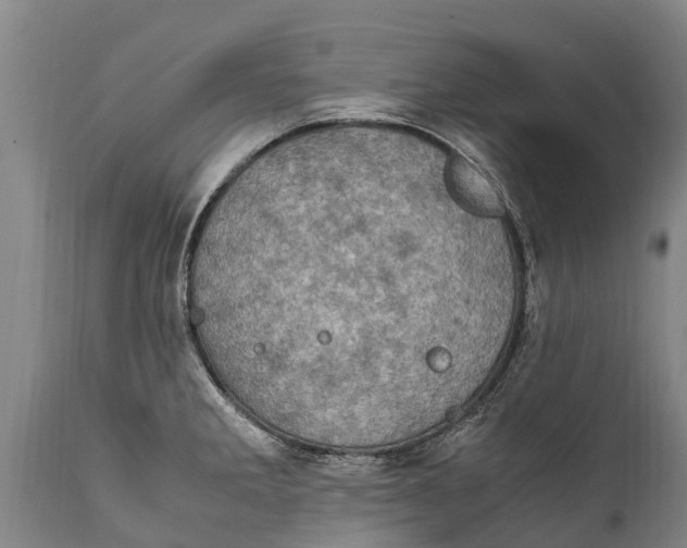 X0000111921285200908171316