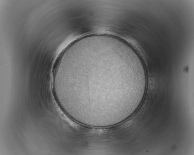 X0000111921286200908171316