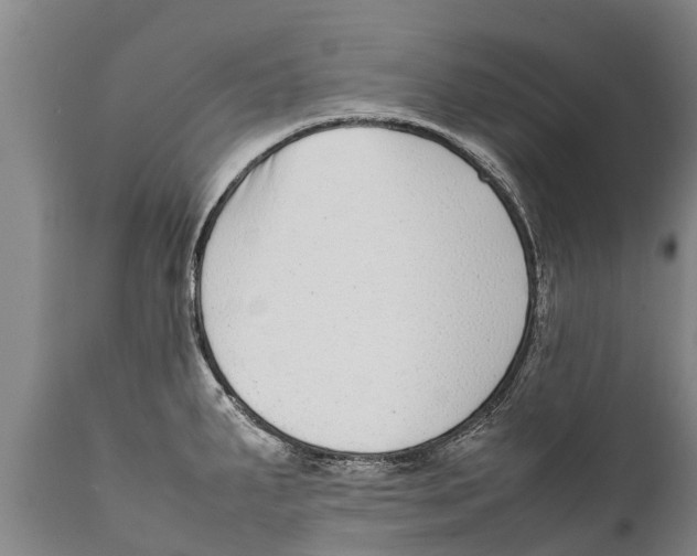 X0000111921287200908171316