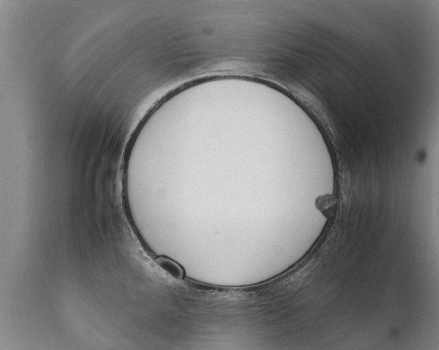 X0000111921288200908171316