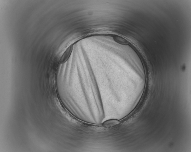 X0000111921289200908171316