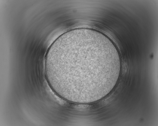 X0000111921290200908171316