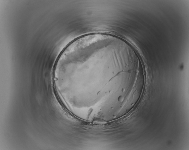 X0000111921291200908171316