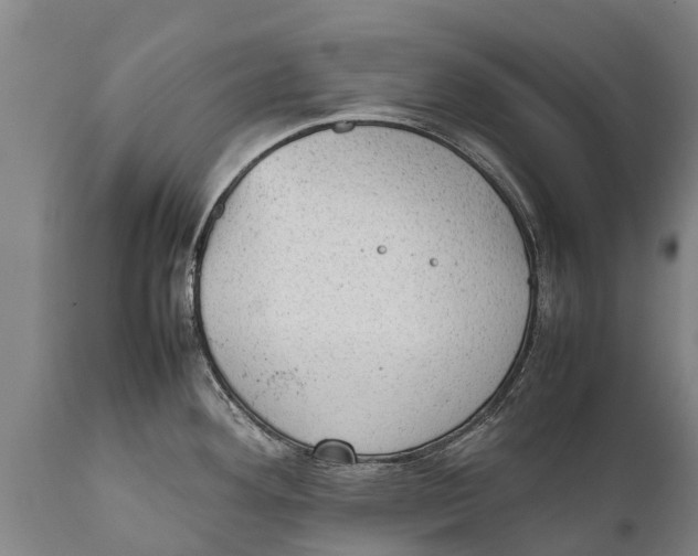 X0000111921292200908171316