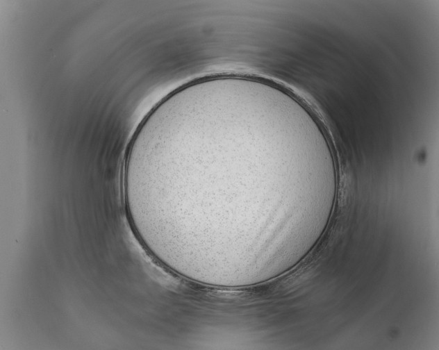 X0000111921295200908171316