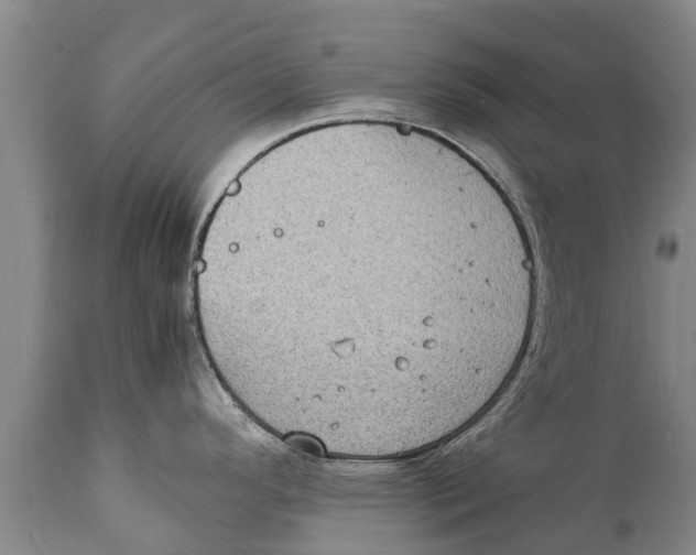 X0000111921296200908171316