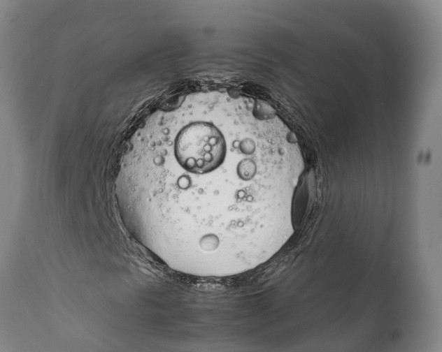 X0000111921297200908171315