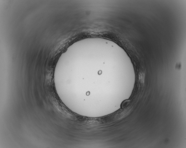 X0000111921300200908171315