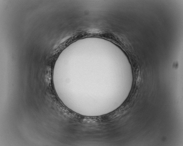 X0000111921301200908171315