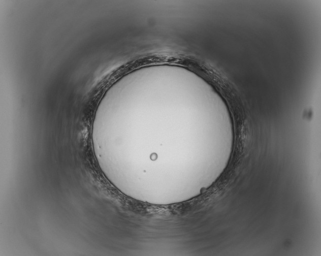 X0000111921302200908171315