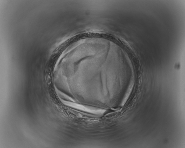 X0000111921303200908171315