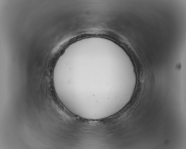 X0000111921304200908171315