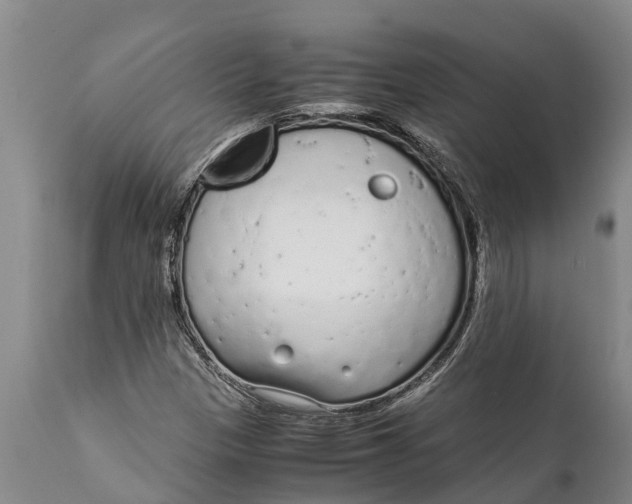 X0000111921305200908171315