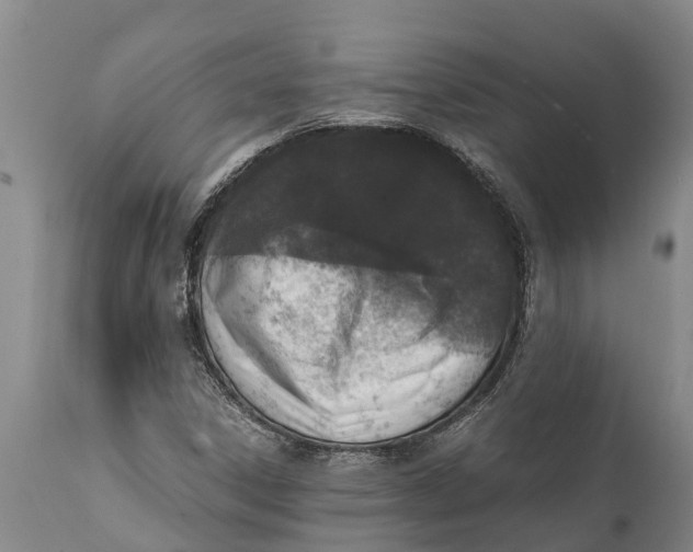 X0000111921306200908171315