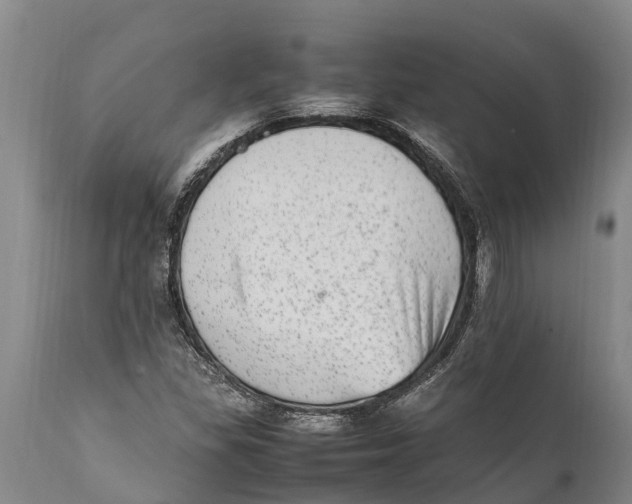 X0000111921309200908171315