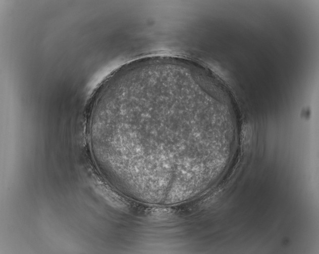 X0000111921310200908171315