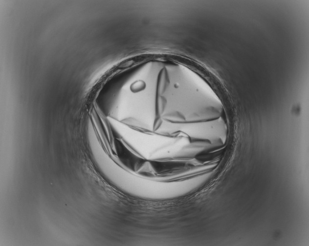 X0000111921311200908171315