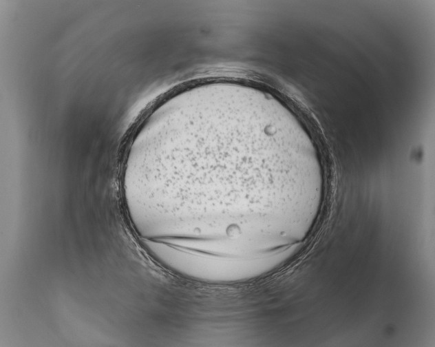 X0000111921312200908171315