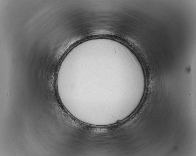 X0000111921313200908171315