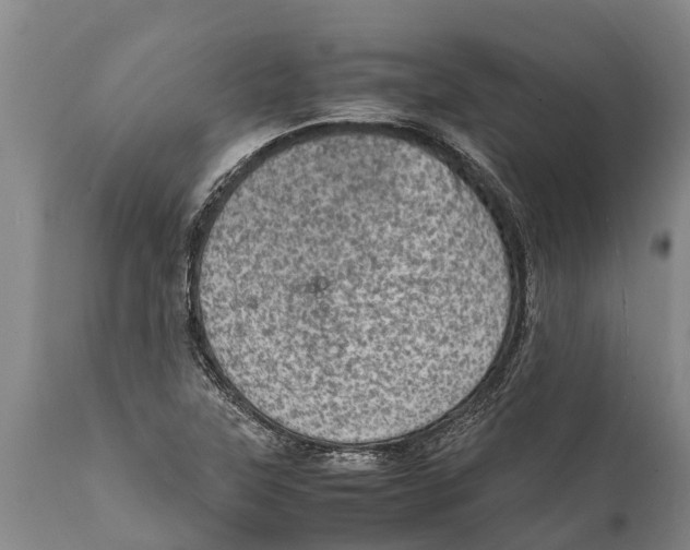 X0000111921315200908171315