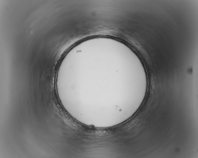 X0000111921316200908171315