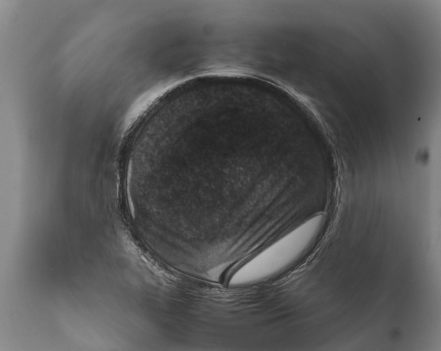 X0000111921319200908171315