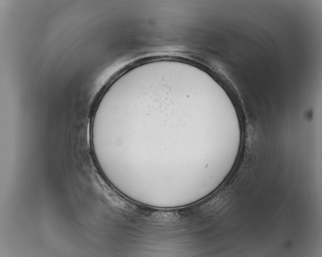 X0000111921320200908171315