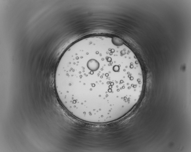 X0000111921321200908171315