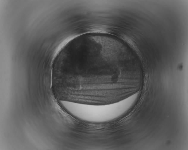 X0000111921323200908171315