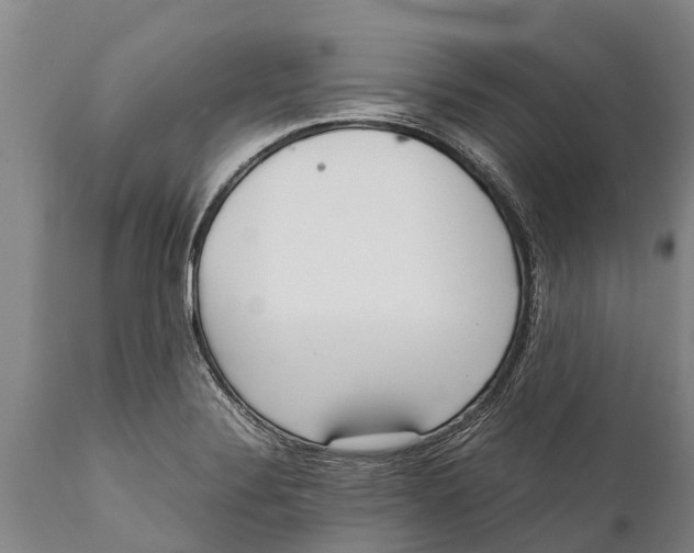 X0000111921324200908171315