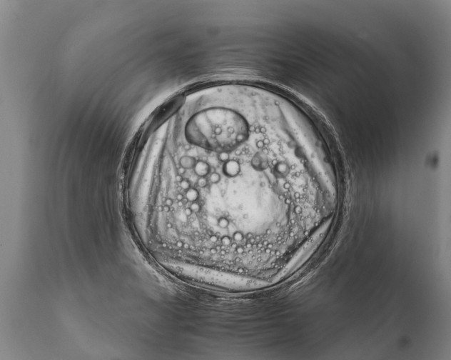 X0000111921325200908171315