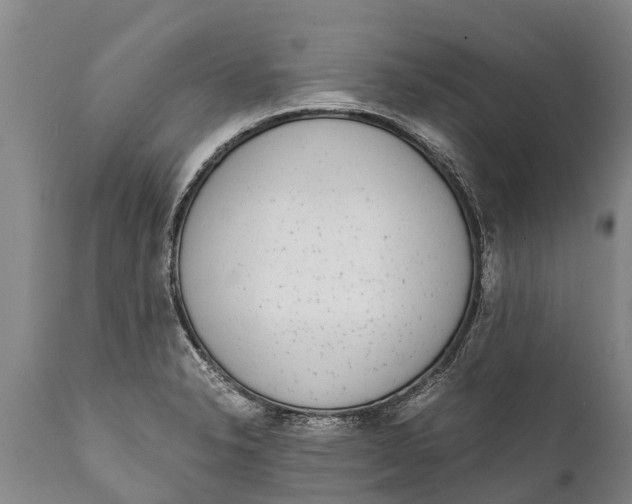 X0000111921326200908171315