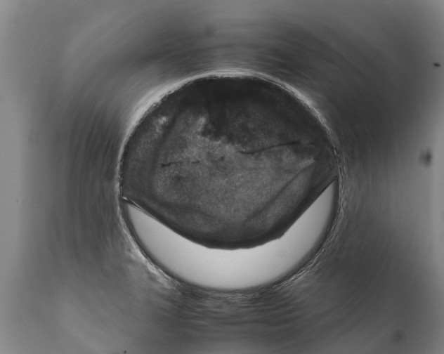 X0000111921327200908171315